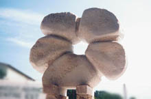  TABERE DE SCULPTURA - Corola, piatra, Rumilly, Franta, 1997